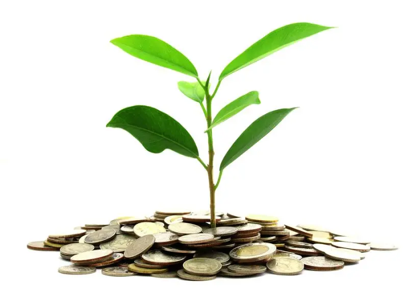 Инвестиции SKF в сохранение экологии | Свежие новости в Волжском